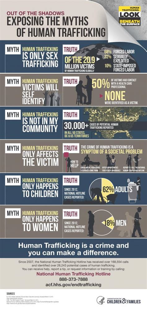 Infographic Out Of The Shadows Exposing The Myths Of Human