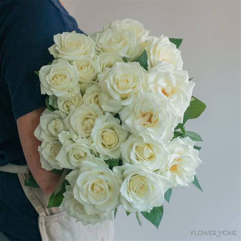 White Escimo Roses Bulk Fresh Diy Wedding Flowers Flower Moxie