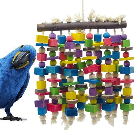 10 Best Toys To Keep Your Parrot Entertained Daily Pawsify