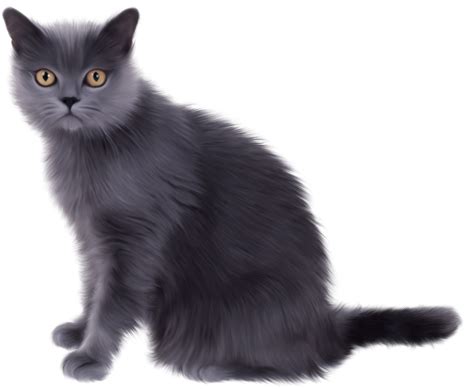 Download Black Sitting Cat Png Image For Free
