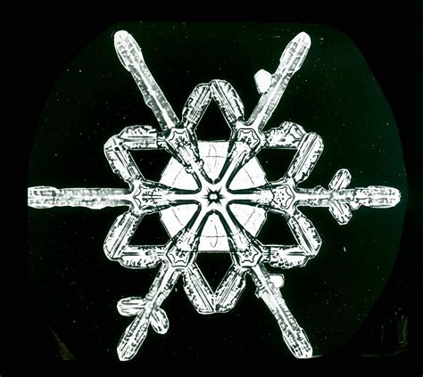 The First Snowflake Photographs Snowflakes Real Snowflake