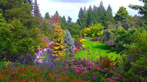 Tapety Na Pulpit Vancouver Kanada Queen Elizabeth Garden Przyroda