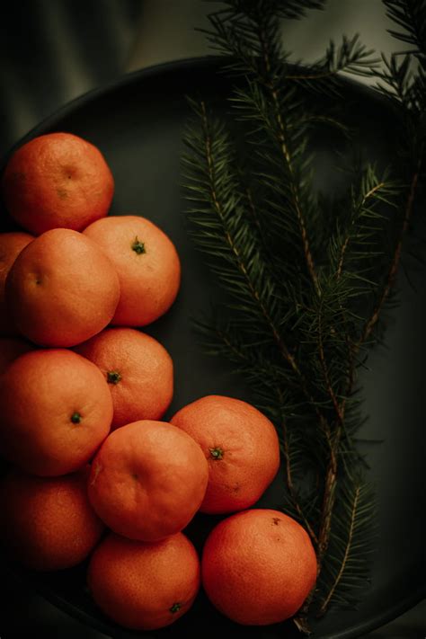 Tangerines Branch Spruce Fruit Citrus Hd Phone Wallpaper Peakpx