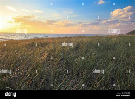 Great Lakes Dune Grass Sunset Sunset On The Coastal Dune Grass On The