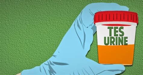 Namun, sering kali gelar sarjana atau diploma mengalahkan mereka yang hanya lulusan sma dan smk atau sederajat. Ribuan Guru SD dan SMP Mengikuti Tes Urine Oleh BNN - GURU ...