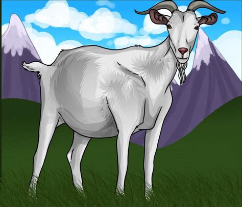 Cómo Dibujar Una Cabra Dos Versiones De La Imagen