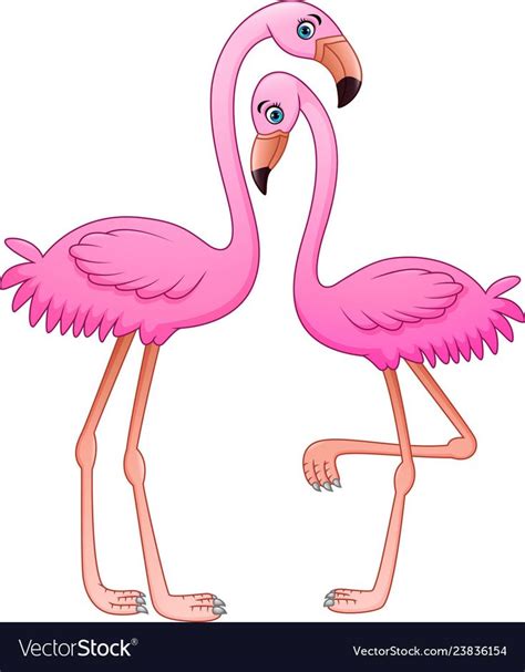 Cartoon Two Pink Flamingo On White Background Vector Image Pink