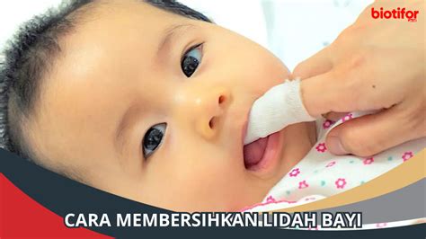 Cara Membersihkan Lidah Bayi Dengan Aman Penting Biotifor