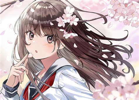 1920x1080px 1080p Free Download Cute Anime School Girl Cherry Blossom Brown Hair School