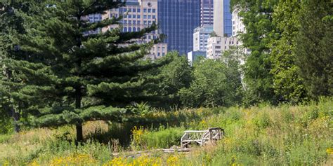 From Central Park To Central Mexico The Central Park Conservancy