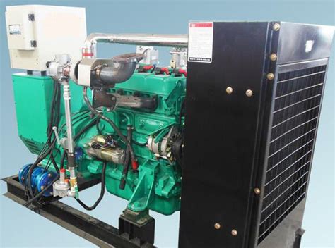 Electric Small 50kw Wood Gas Power Plant Natural Gas Generators 3 Phase