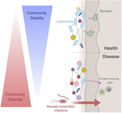 Ecological Dynamics Of The Vaginal Microbiome In Relation To Health And
