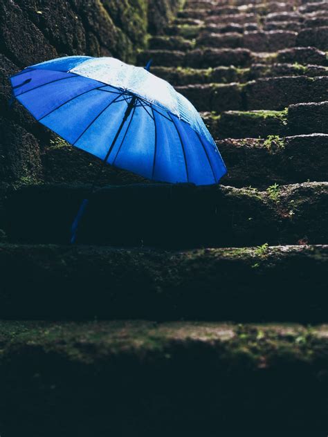 Download Rain Nature Blue Umbrella Wallpaper | Wallpapers.com