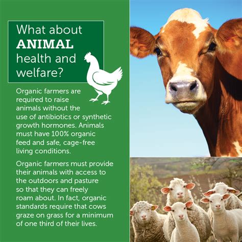 Top 108 Farm Animal Welfare Standards