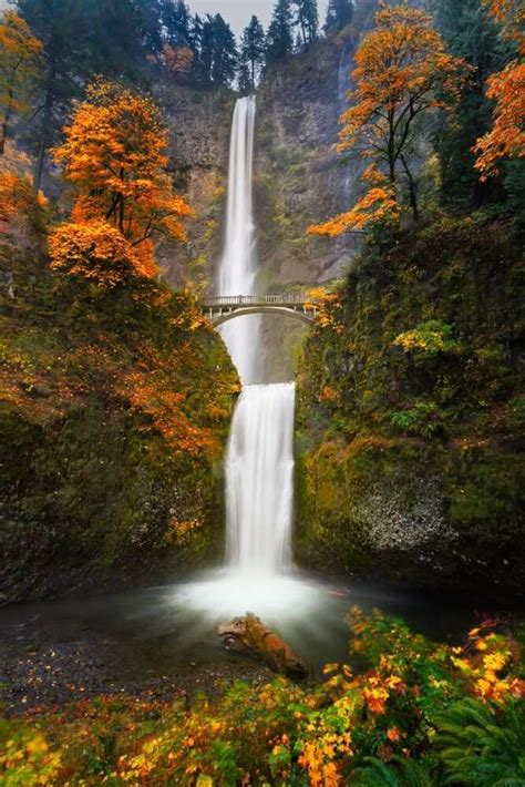 Multnomah Falls Oregon Usa Autumn Scenery Waterfall Scenery