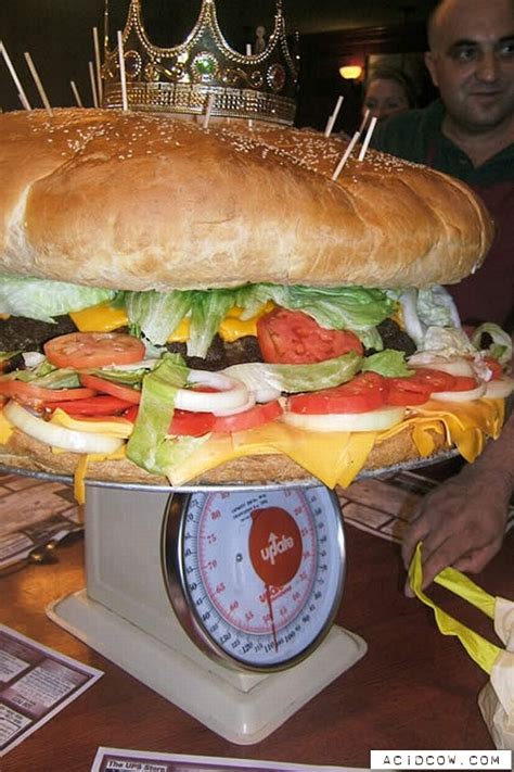 The Biggest Hamburger In The World 19 Pics