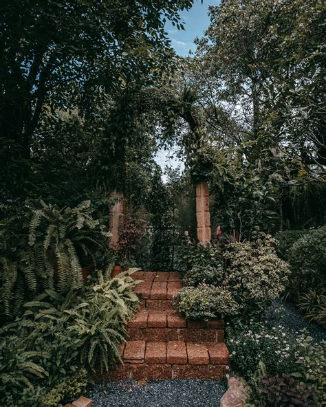 BASKET Coffee and Croissant Hidden Gem Thin Neighborhood | Gallery