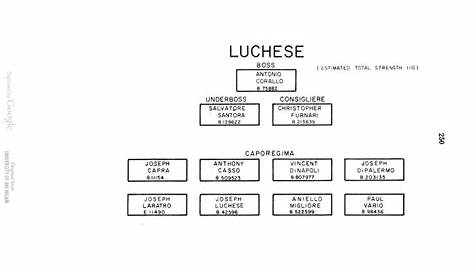 Pin by Jeff D on Lucchese(New York City) | Crime family, Mobster, Chart