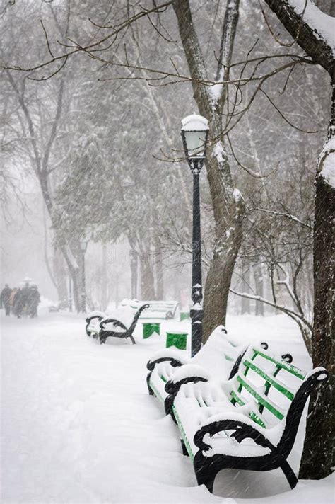 Benches In The Winter Park Stock Image Image Of Weather 9115389