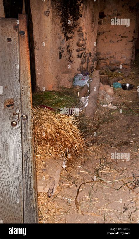 Stable And Manger Hi Res Stock Photography And Images Alamy