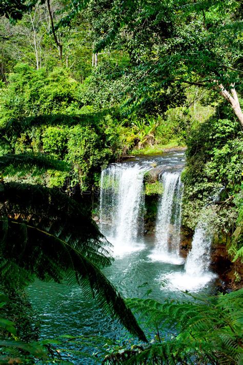 Tropical Forest And Waterfalls In Laos Stock Image Image Of Trees