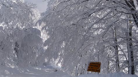 Tanta Neve Dai Castelli Romani Al Nord Della Ciociaria Anche A Fiuggi