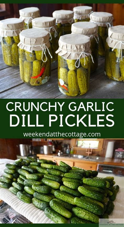 Garlic Dill Pickles Recipe Weekend At The Cottage Recipe Pickling