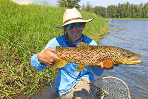 Bow River Fly Fishing Guides Dave Brown Outfitters