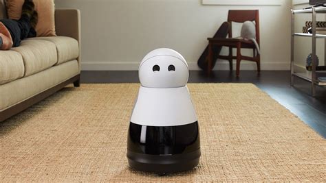 12 Personal Robots For Your Home