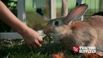 Tractor Supply Co Tv Spot For Life Out Here Ispot Tv