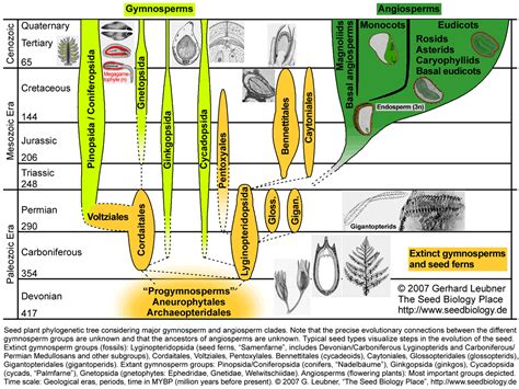 The Seed Biology Place Seed Evolution