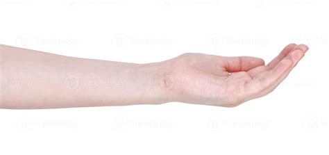 Cupped Palm Hand Gesture 11852243 Stock Photo At Vecteezy