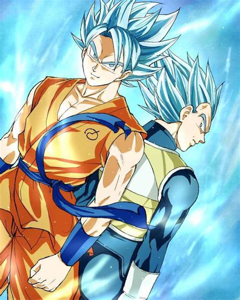 Goku And Vegeta Super Saiyan Gods Personajes De Dragon Ball Dragon Ball Fotos Dragon Ball