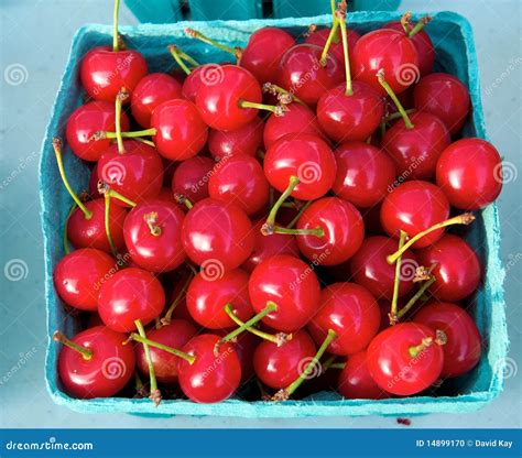 Bright Red Cherries Stock Photo Image 14899170