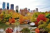 Beautiful Park In New York Photos