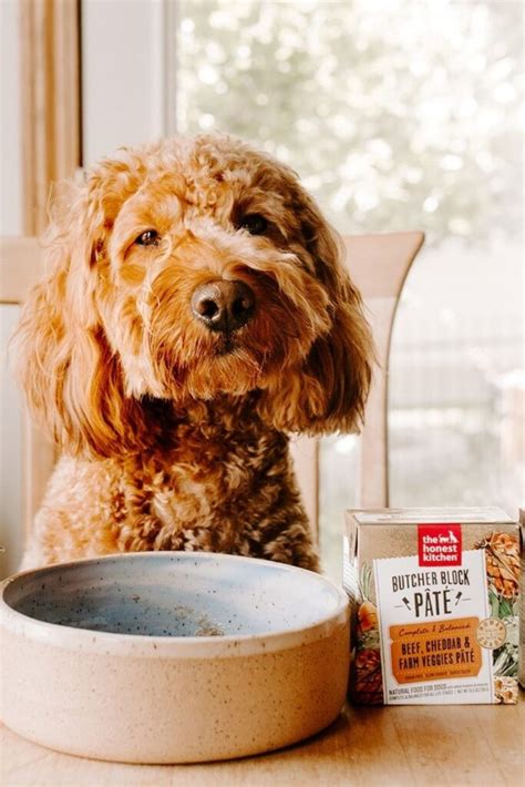 9 Sustainable Dog Food Brands Making Every Bowl Eco Friendly