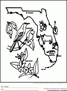 If you have any complain about this image, make sure to contact us from the contact page. Florida Coloring Pages | States project, Map of florida