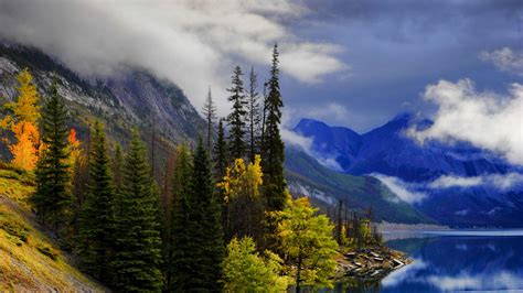 Download Wallpaper 1920x1080 Landscape Lake Mountains Trees Slope Path Full Hd Hdtv Fhd