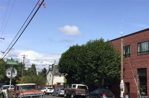 Mystery Over Sex Toys Dangled From Power Lines In Portland Oregon