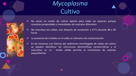 Tema 18 Mycoplasma Y Ureaplasma Parte 22 Youtube