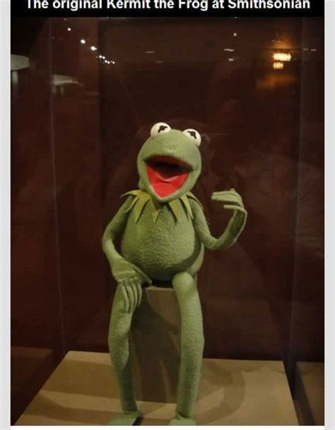740 Best Kermit The Frog Images On Pinterest Jim Henson The Muppets