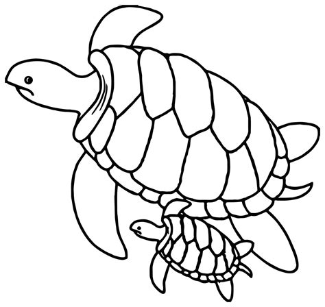 Coloriage de tortue à telecharger gratuitement  Coloriages de Tortues