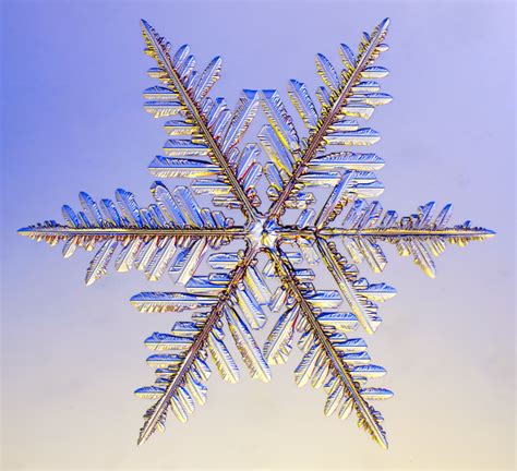 Snowflake Snowflakes Science Snowflakes Snow Crystal