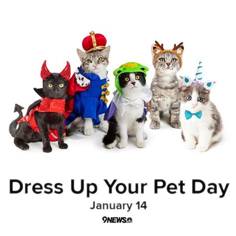 National Dress Up Your Pet Day Wishes Images Whatsapp Images