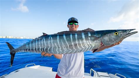 Most Prized Deep Sea Fish Catch Clean Cook Wahoo Youtube