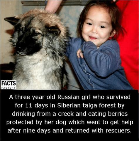 facts factory a three year old russian girl who survived for 11 days in siberian taiga forest by