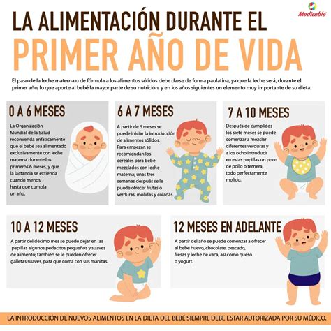 La alimentación durante el primer año de vida Medicable