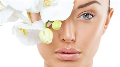 include a skin beauty regime to prevent and cure open pores on your face the statesman