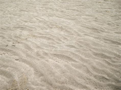 Sea Bed Sand Stock Photo Image Of Beach Shoal Sand 84916040