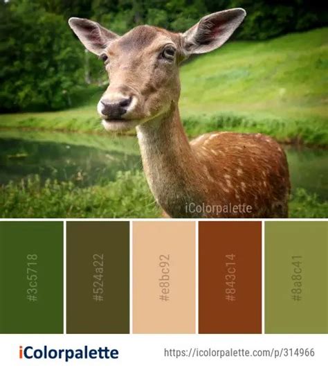 293 Deer Color Palette Ideas In 2023 Icolorpalette